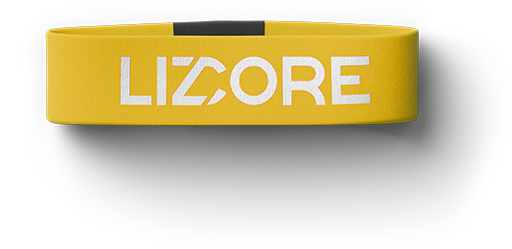 lizcore climber dashboard mobile app